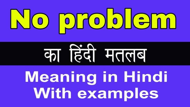 no problem meaning in hindi - Hình 4