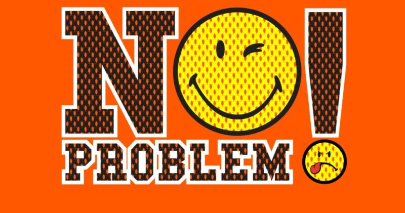 no problem meaning in hindi - Hình 5