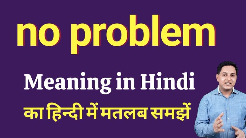 no problem meaning in hindi - Hình 1