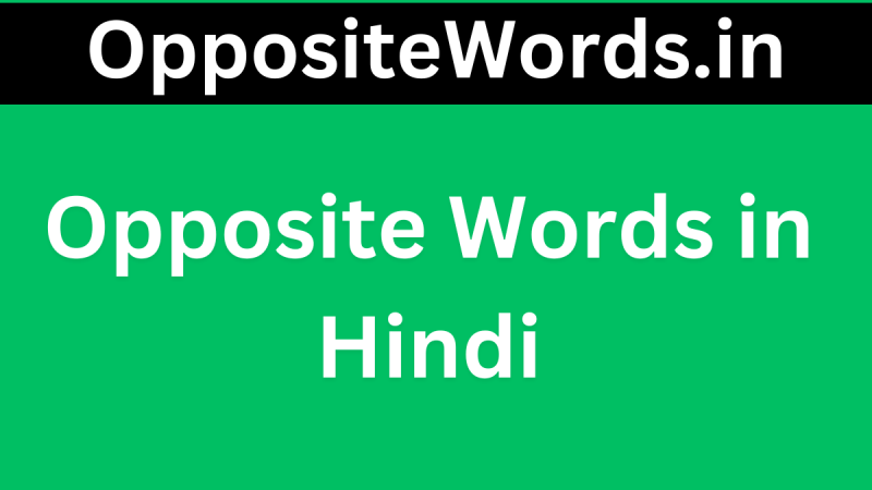 nobody meaning in hindi 3