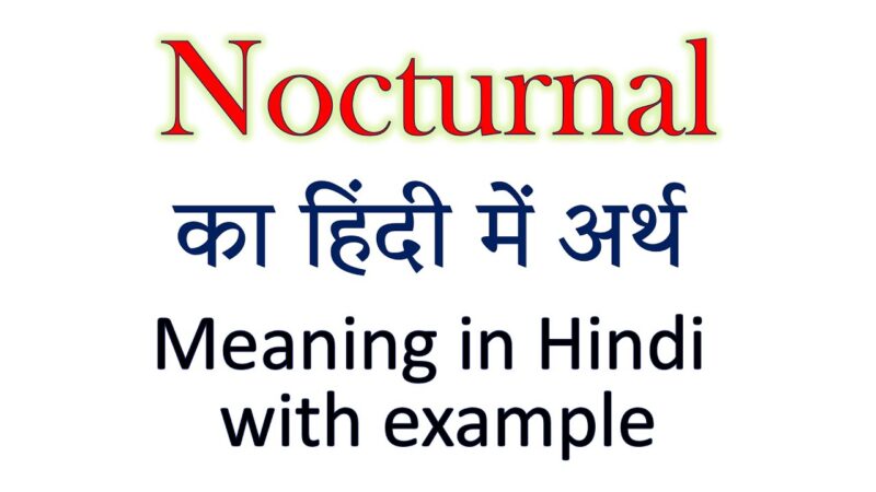 nocturnal meaning in hindi - Hình 2