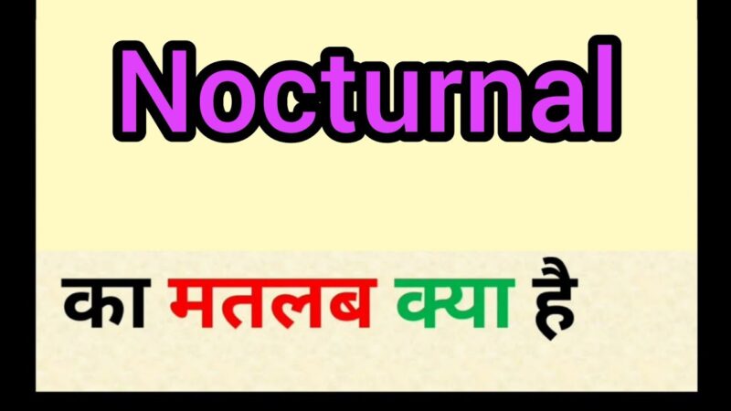 nocturnal meaning in hindi - Hình 3