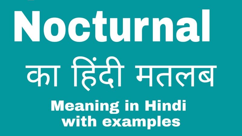 nocturnal meaning in hindi - Hình 4