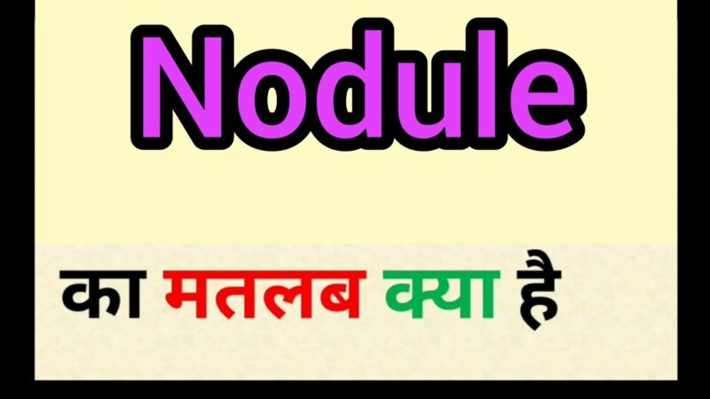 nodules meaning in hindi - Hình 1
