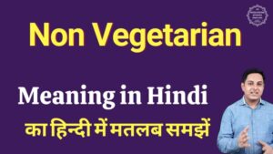non vegetarian meaning in hindi