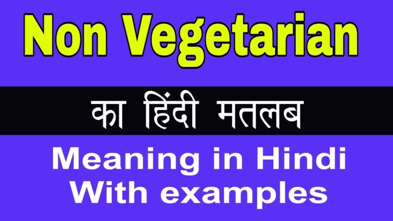 non vegetarian meaning in hindi - Hình 4