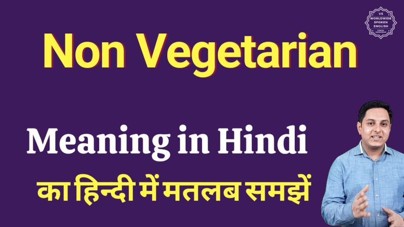 non vegetarian meaning in hindi - Hình 1