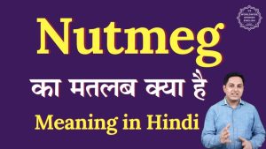 nutmeg meaning in hindi 1