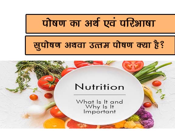 हिंदी में पोषण का अर्थ  पोषण की परिभाषा और व्याख्या
