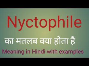 nyctophile meaning in hindi