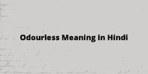 odourless meaning in hindi