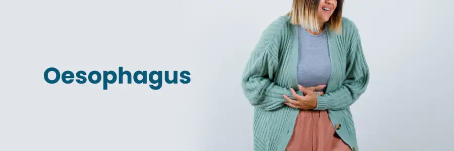 Oesophagus Meaning In Hindi: ग्रासनली क्या है? कार्य, रोग, उपचार और लक्षण 10 ग्रासनली रोगों के कारण, निदान, और उपचार के विकल्प (Grasanali rogon ke karan, nidan, aur upchar ke vikalp)