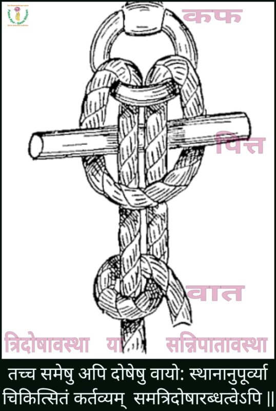 of course meaning in hindi 1