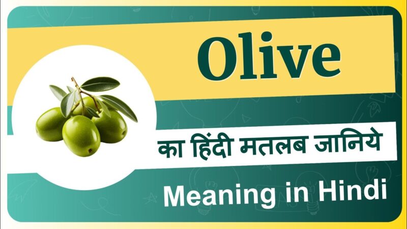 olive meaning in hindi - Hình 1