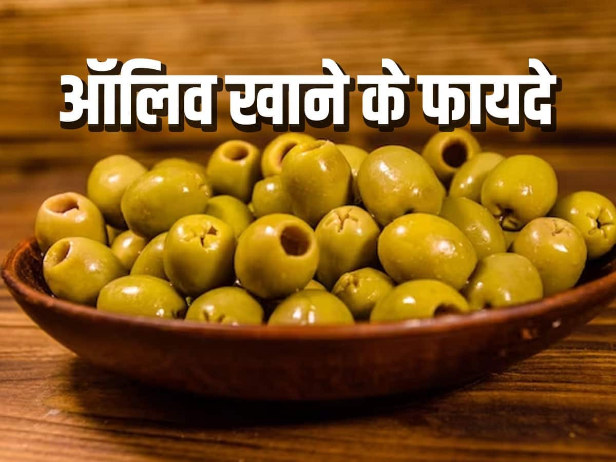 olive meaning in hindi - Hình 4
