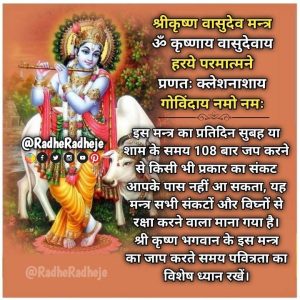 om krishnaya vasudevaya haraye paramatmane mantra meaning in hindi 3