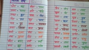 opposite meaning in hindi 1
