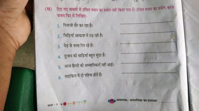'Option' का वाक्यों में प्रयोग