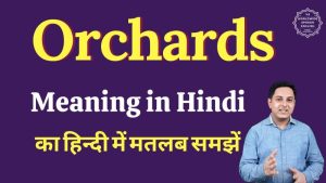 orchard meaning in hindi 1