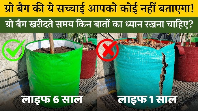 बागवानी (Orcharding) क्या है?  परिभाषा, प्रकार और महत्व