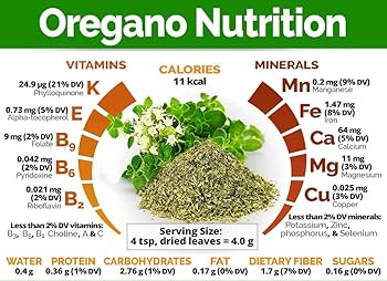 ऑरेगैनो का हिंदी में अर्थ क्या है? (Oregano ka hindi mein arth kya hai?)