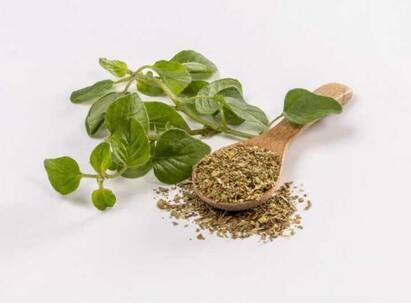 ऑरेगैनो के उपयोग (Oregano ke Upyog)