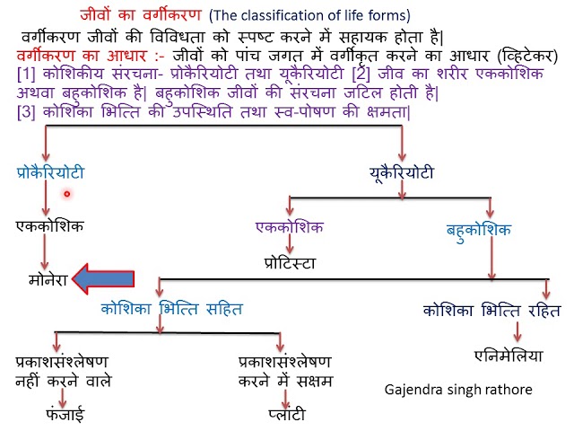 organism meaning in hindi 1