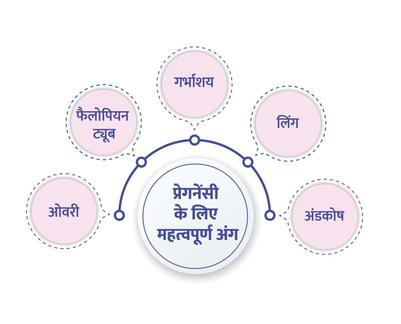यह खंड ऑर्गेज्म शब्द का सीधा और सटीक हिंदी अनुवाद प्रदान करता है, जो उपयोगकर्ता के मुख्य उद्देश्य को पूरा करता है। का अर्थ