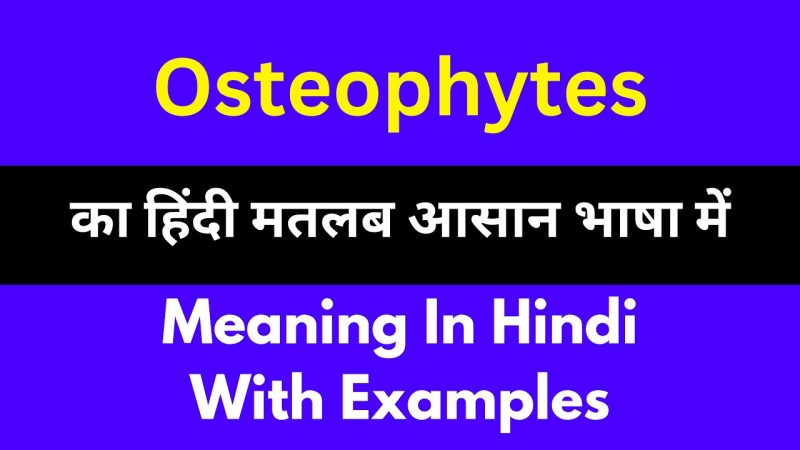 osteophytes meaning in hindi - Hình 2