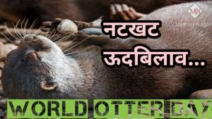 otter meaning in hindi 2