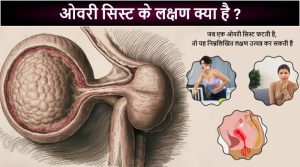 ovaries meaning in hindi 2