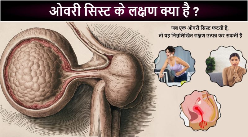 अंडाशय के कार्य: प्रजनन और हार्मोन उत्पादन