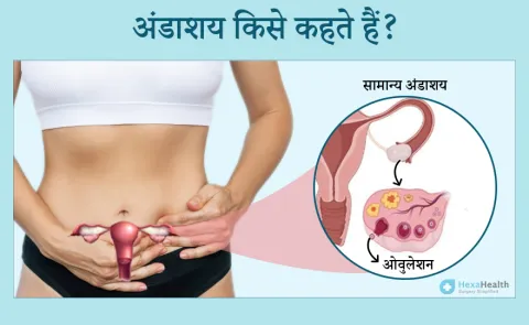 अंडाशय स्वास्थ्य: सामान्य समस्याएं और समाधान  Andashay Swasthya: Samanya Samasyayen aur Samadhan
