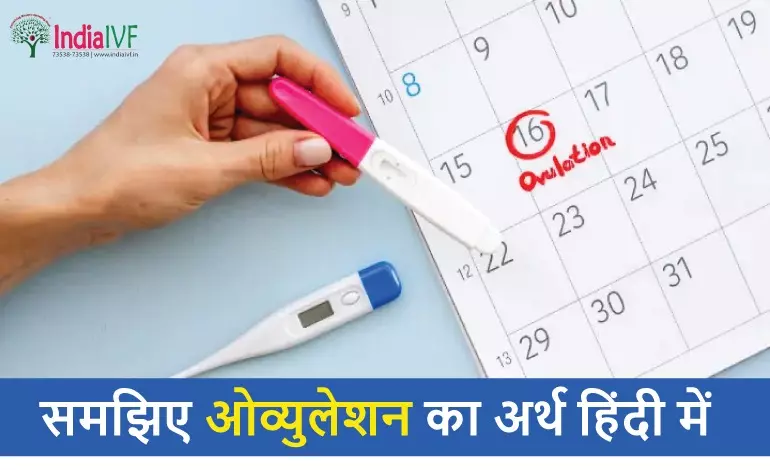 ओव्यूलेशन चक्र को समझना: हिंदी में समयरेखा और चरण