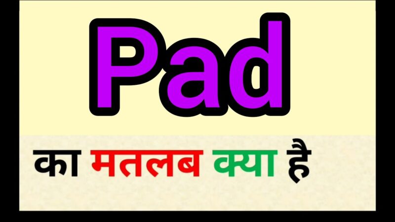 pad meaning in hindi - Hình 2