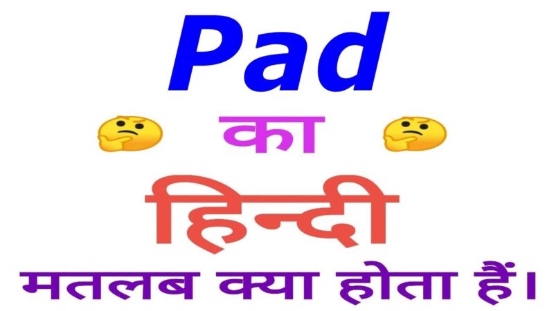 pad meaning in hindi - Hình 4