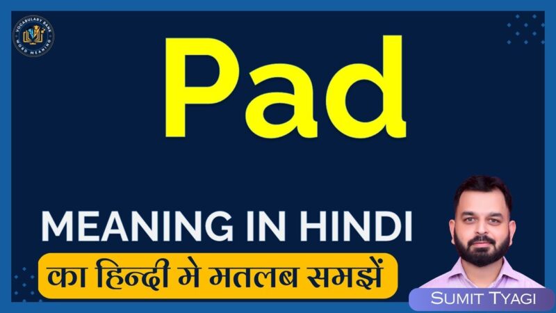 pad meaning in hindi - Hình 5