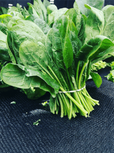 palak meaning in hindi