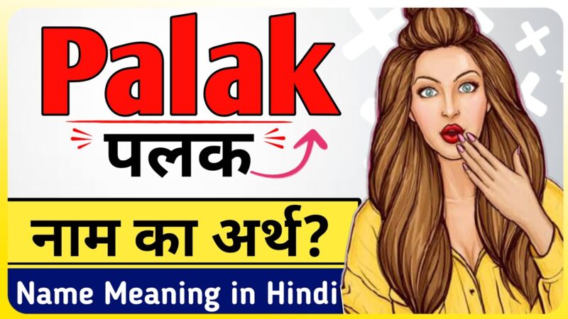 palak meaning in hindi - Hình 3