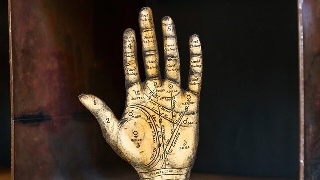 palm meaning in hindi 1