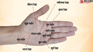 palm meaning in hindi 5