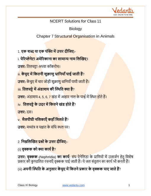 अग्न्याशय के बारे में सामान्य प्रश्न (FAQ)