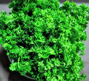 parsley meaning in hindi