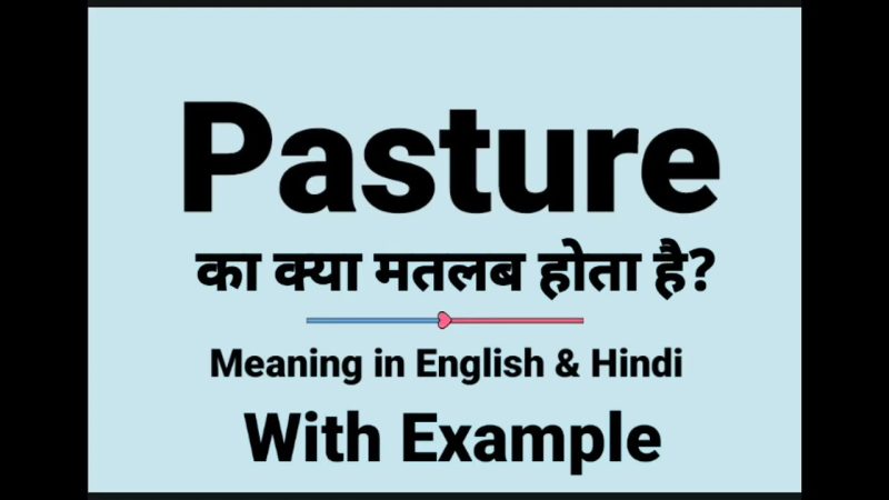 'Pasture' का हिंदी में अर्थ क्या है?