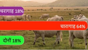 pasture meaning in hindi 2