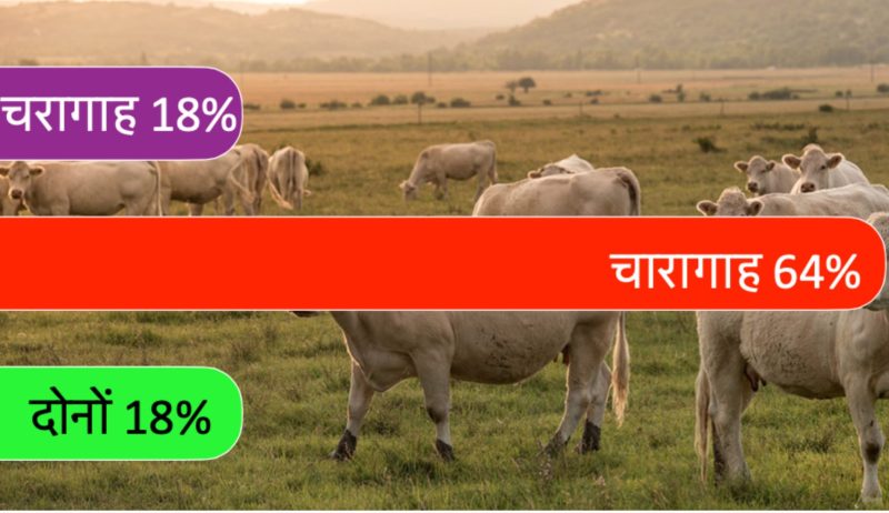 चरागाह की विस्तृत परिभाषा और मुख्य विशेषताएँ