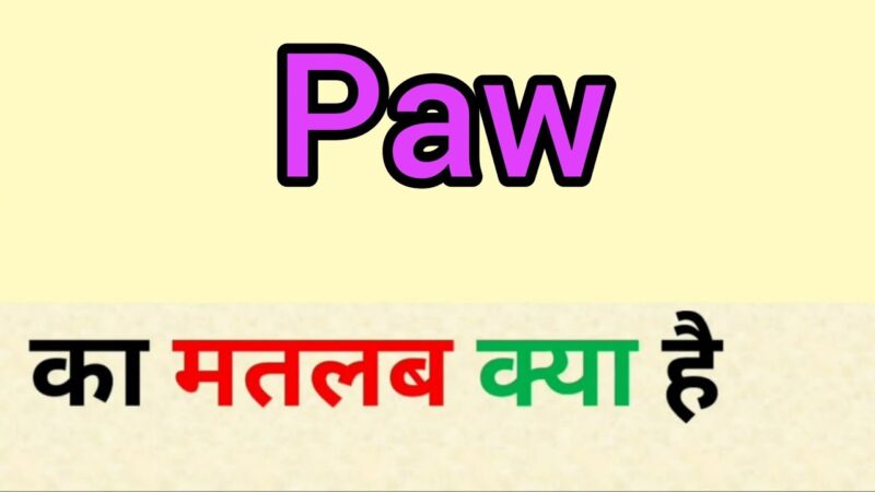 paws meaning in hindi - Hình 2
