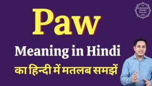 paws meaning in hindi