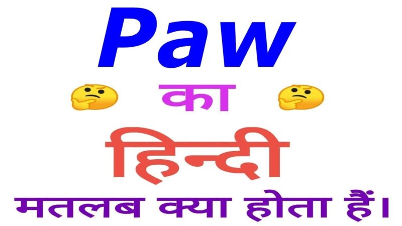 paws meaning in hindi - Hình 5