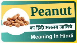 peanut meaning in hindi